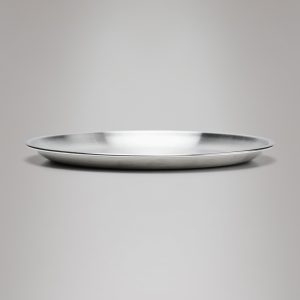 Stainless Steel 2-Pack Plates - Steel